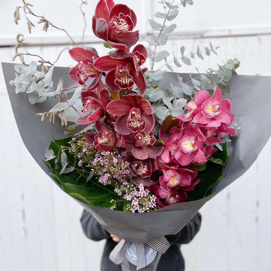 Double Stem Cymbidium Orchid